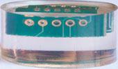 Figure 1b. Side-on view of a microsection